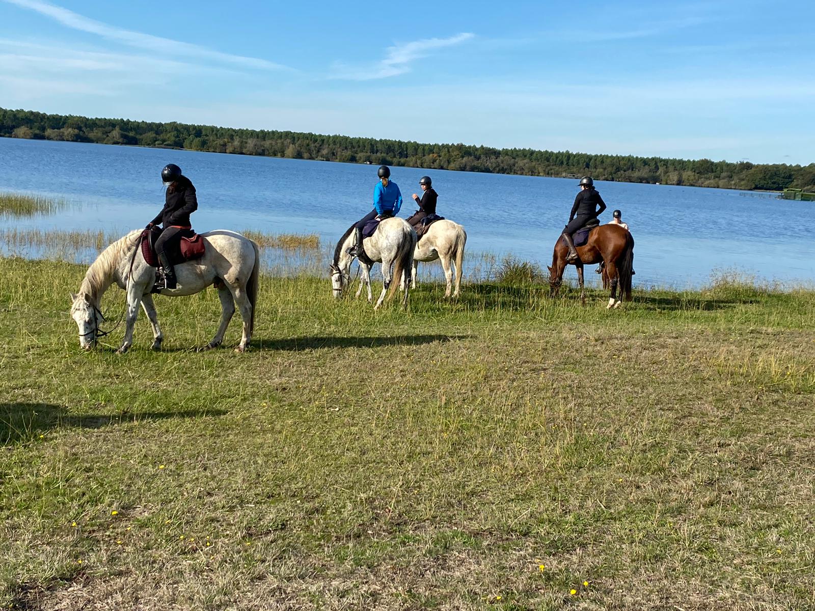 chevaux aux lacs balade