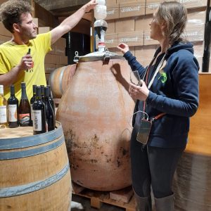 Aop Cabardès - Sébastien, Domaine Le Crouzet - un vigneron passionné
