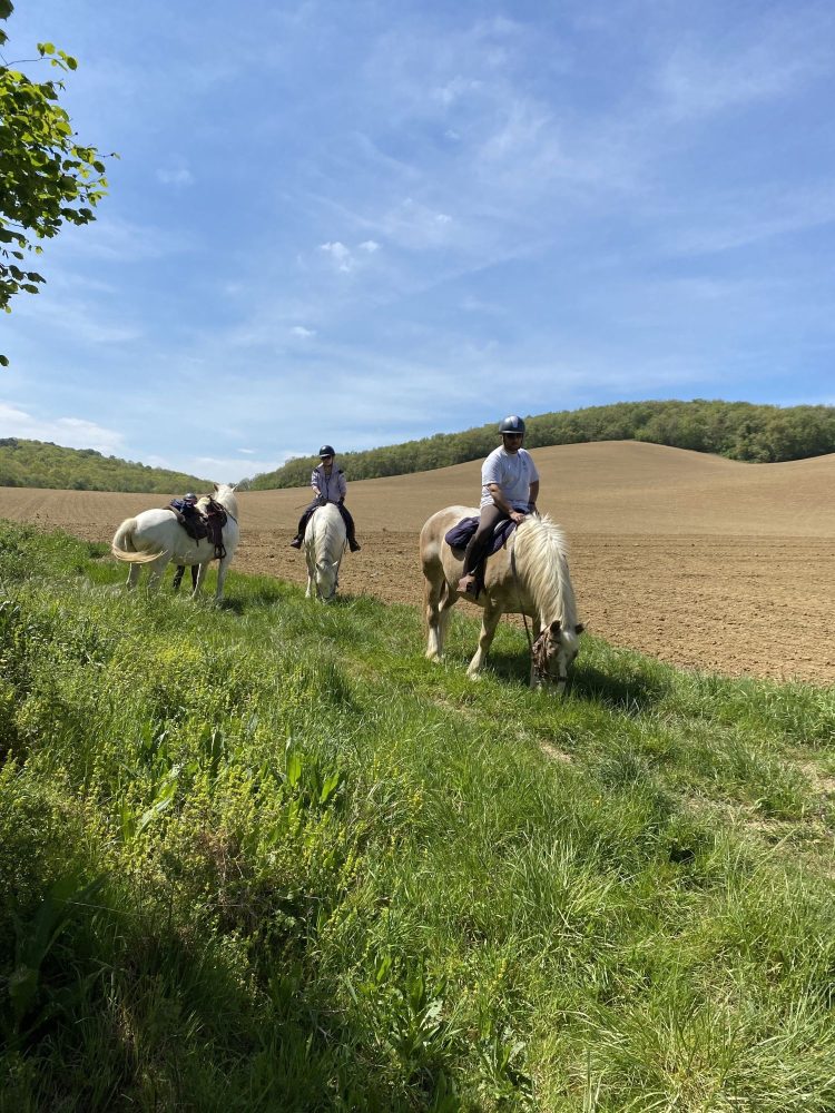 la campagne à cheval en Haute Garonne
