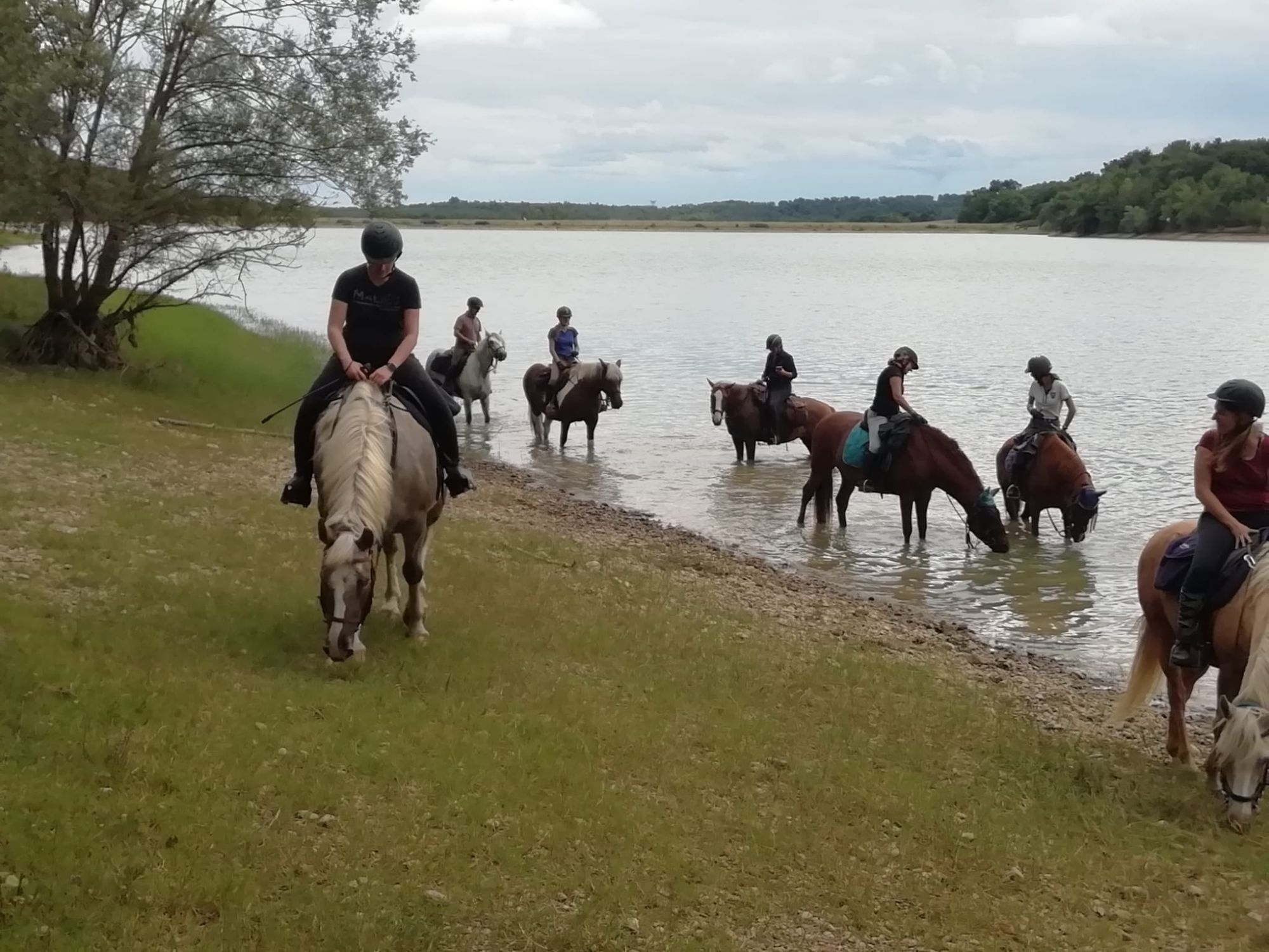 Baignade avec les chevaux au Lac de Savères