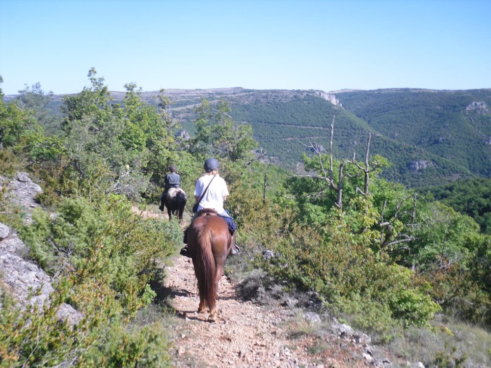 Vallée de la Dourbie à cheval